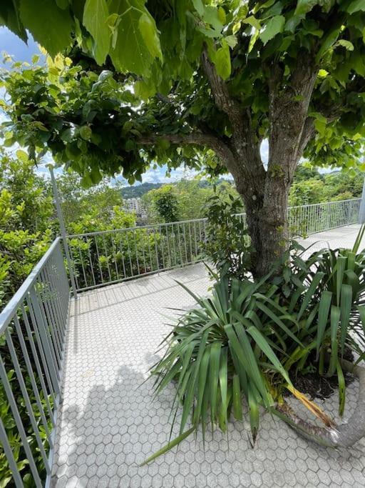 Paisible Eden Standing Terrasse - Magnifique Vue - Esprit Nature En Pleine Ville Tulle Exteriör bild