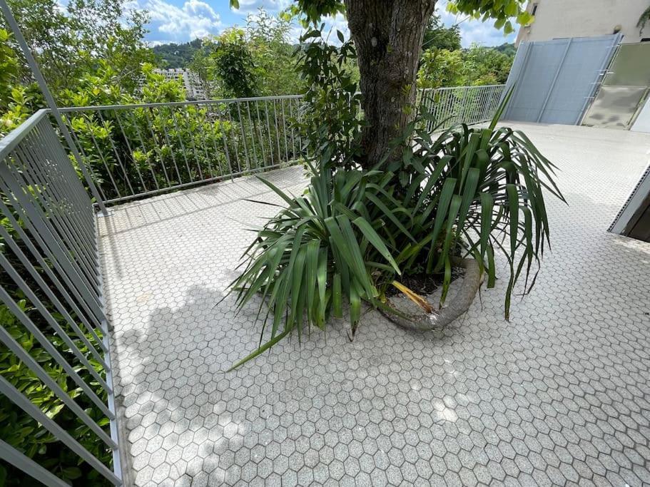 Paisible Eden Standing Terrasse - Magnifique Vue - Esprit Nature En Pleine Ville Tulle Exteriör bild
