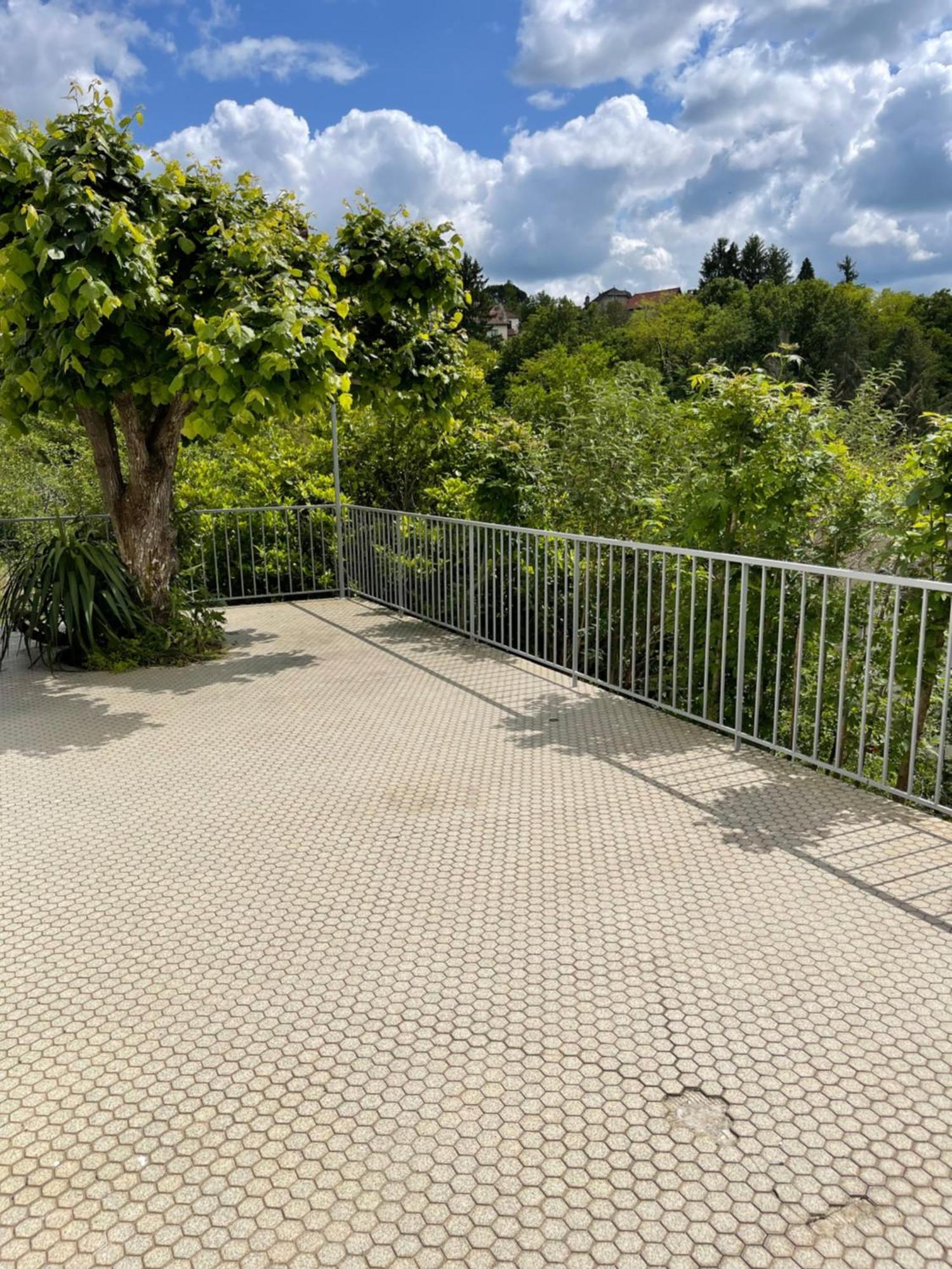 Paisible Eden Standing Terrasse - Magnifique Vue - Esprit Nature En Pleine Ville Tulle Exteriör bild